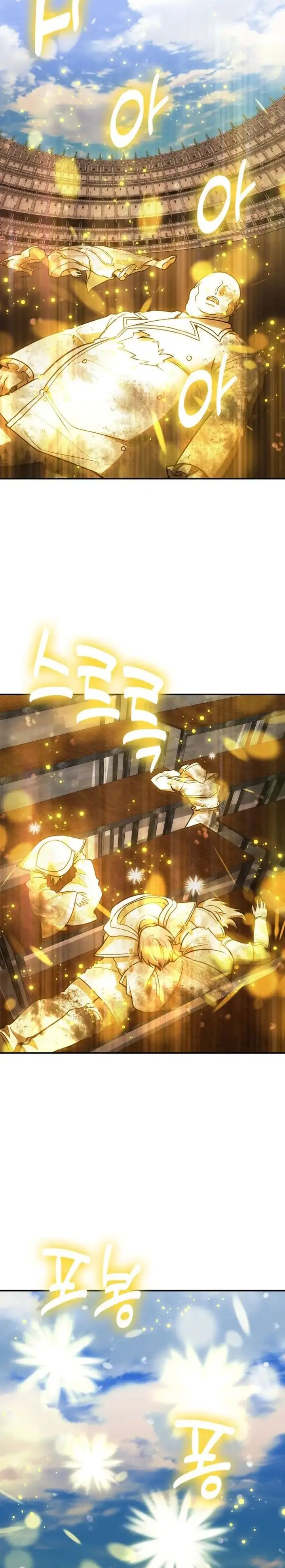 How to Live as an Illegal Healer - Chapter 117 2