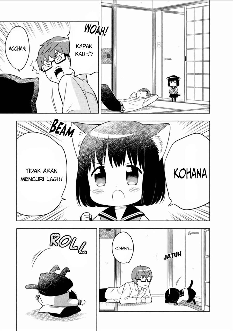 Neko no Kohana - Chapter 8 12 Neko no Kohana - Chapter 8 12