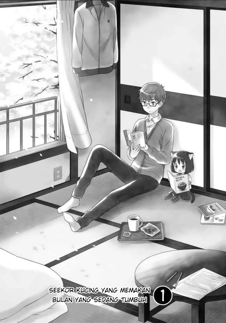 Neko no Kohana - Chapter 1 2 Neko no Kohana - Chapter 1 2