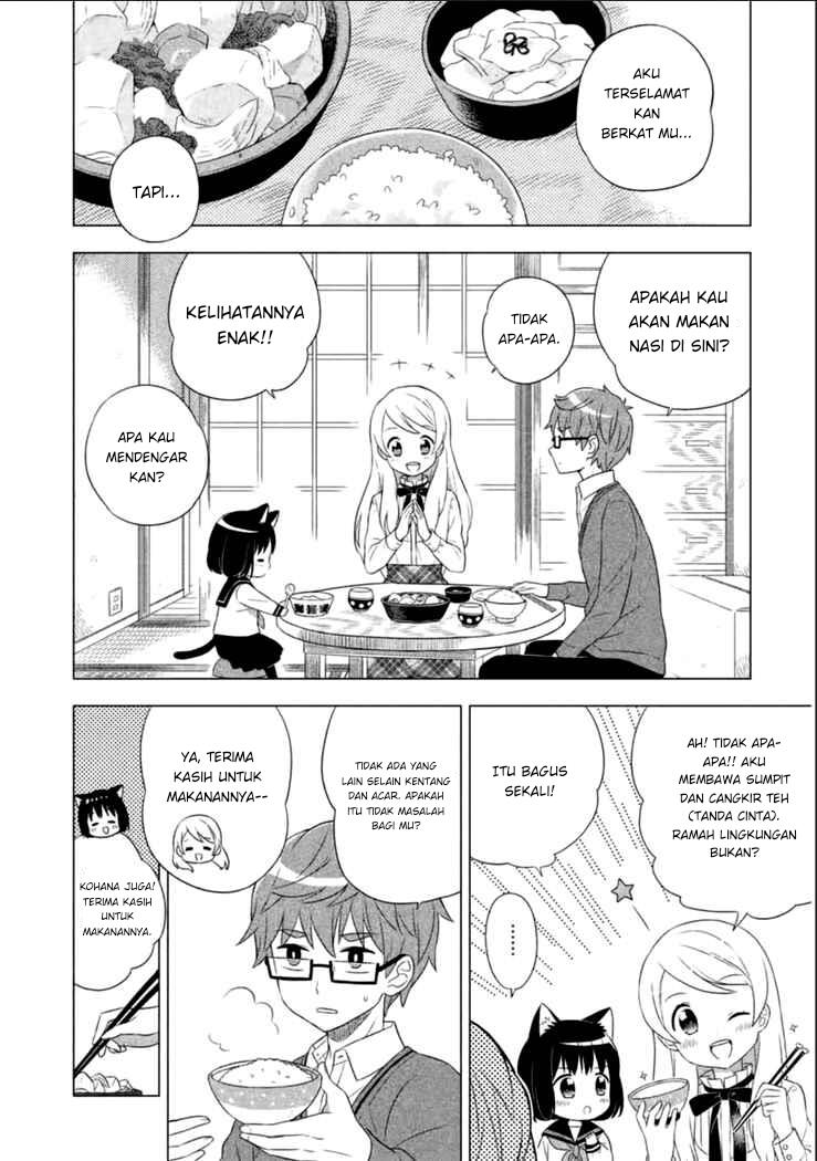 Neko no Kohana - Chapter 1 17 Neko no Kohana - Chapter 1 17