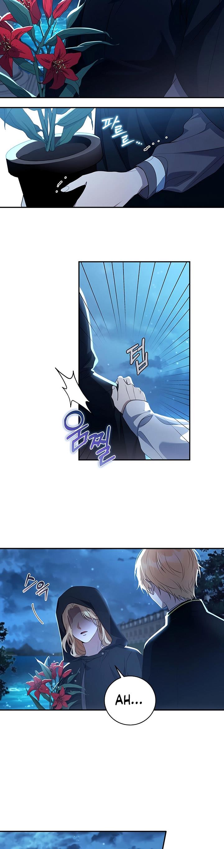 Margrave’s Bastard Son was The Emperor - Chapter 4 14