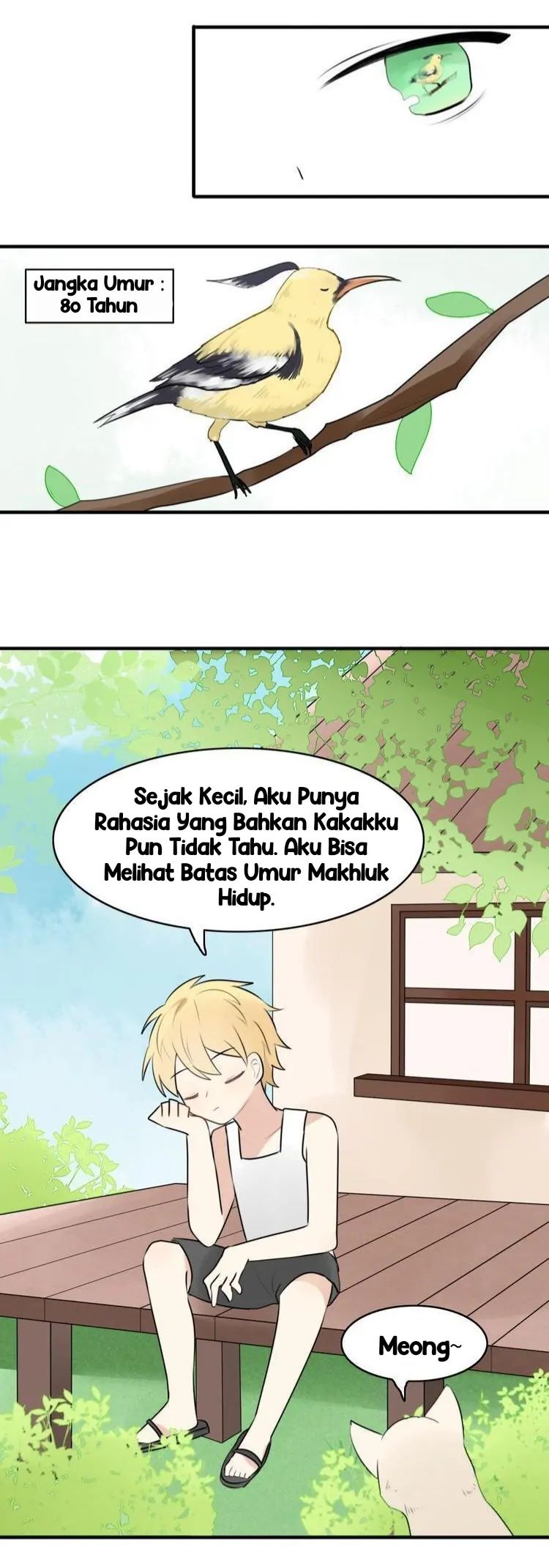 My Pet Lost Her Memories - Chapter 14 10