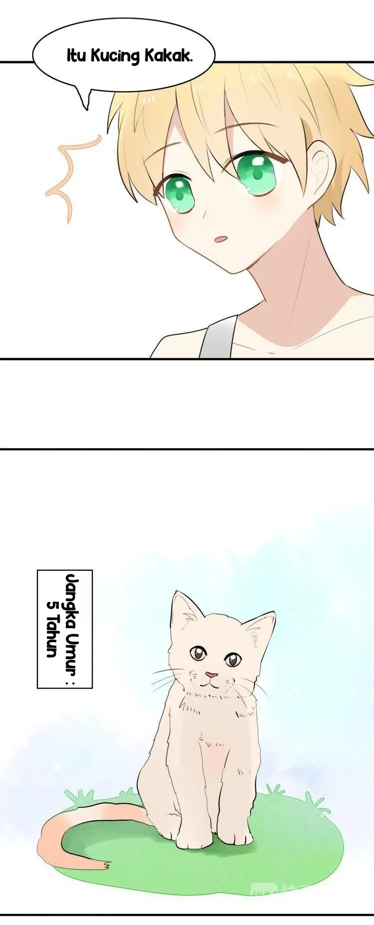 My Pet Lost Her Memories - Chapter 14 11
