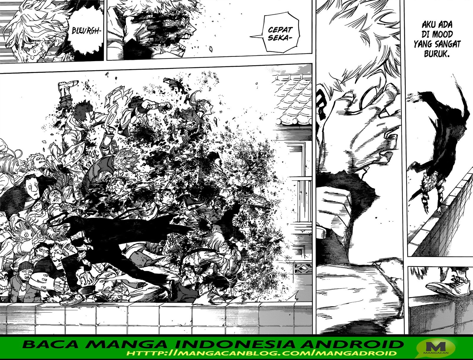 Boku no Hero Academia - Chapter 227 13