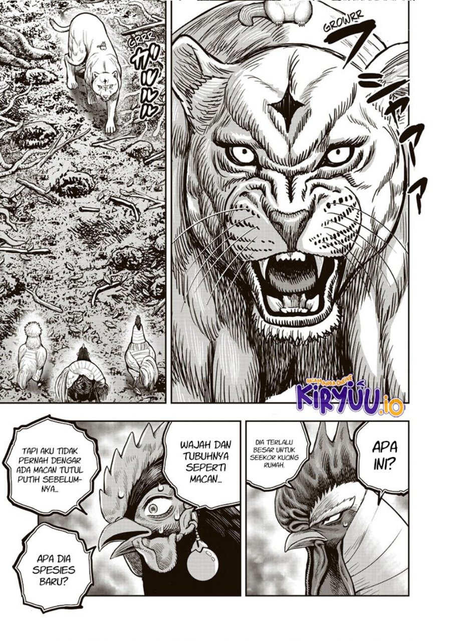 Rooster Fighter - Chapter 37 22