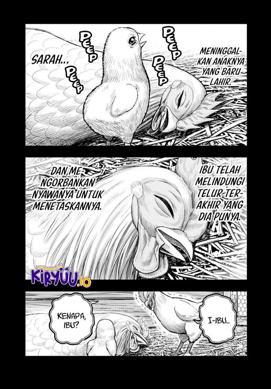 Rooster Fighter - Chapter 19 22