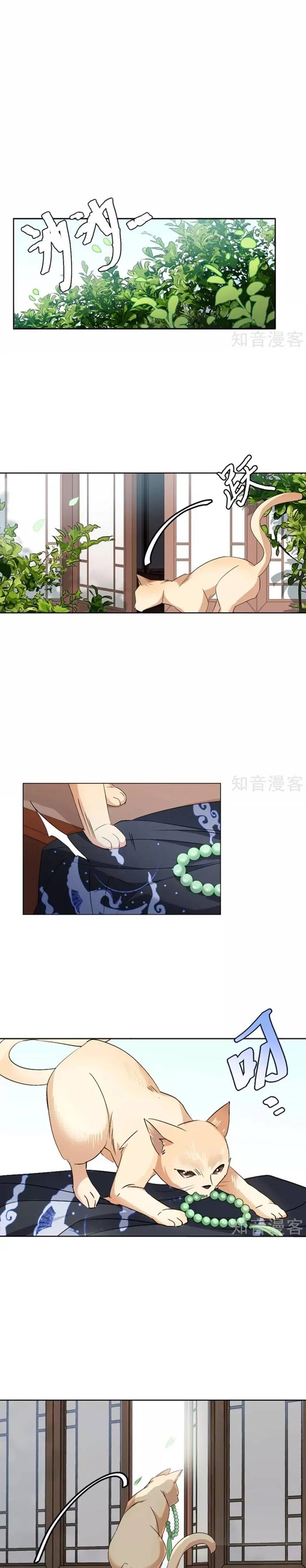 She Is Coming, Please Get Down! - Chapter 23 7