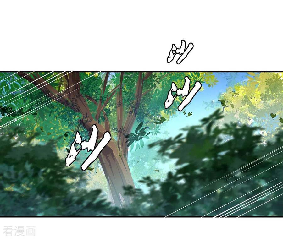 Peerless Soul (Peerless Battle Spirit) - Chapter 08 29