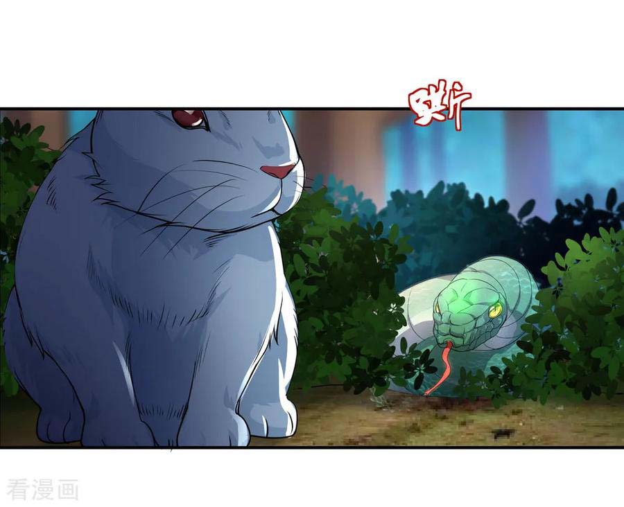 Peerless Soul (Peerless Battle Spirit) - Chapter 08 6