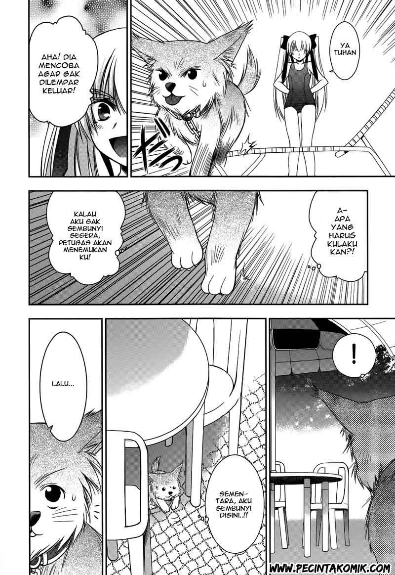 Perowan!: Hayashinasai! Goshujinsama - Chapter 09 13 Perowan!: Hayashinasai! Goshujinsama - Chapter 09 13