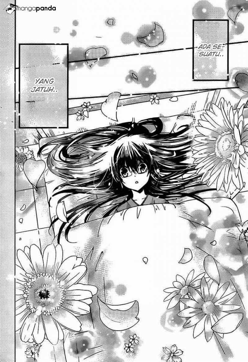 Watashi ni xx Shinasai! - Chapter 49 27