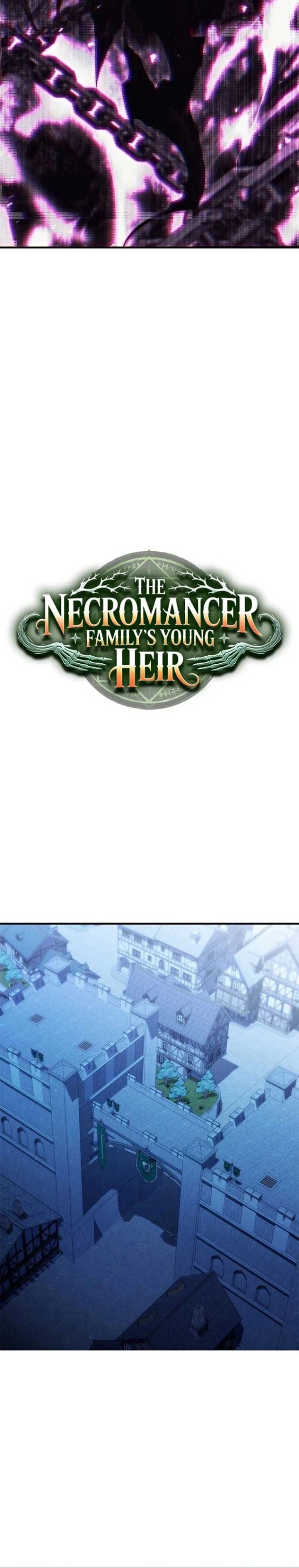 The Necromancer Family’s Young Heir - Chapter 40 17 The Necromancer Family’s Young Heir - Chapter 40 17