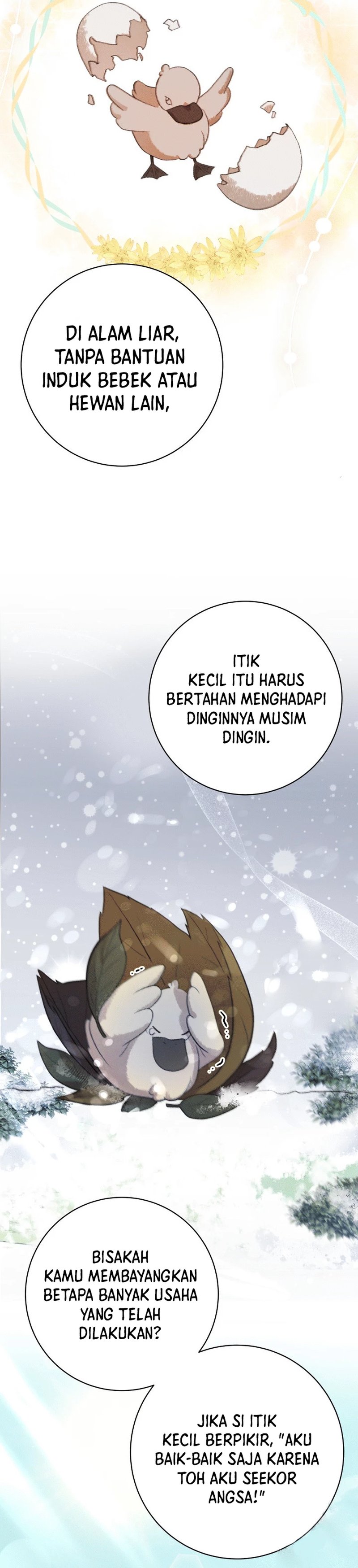 The Miraculous Physical Therapist - Chapter 64 32