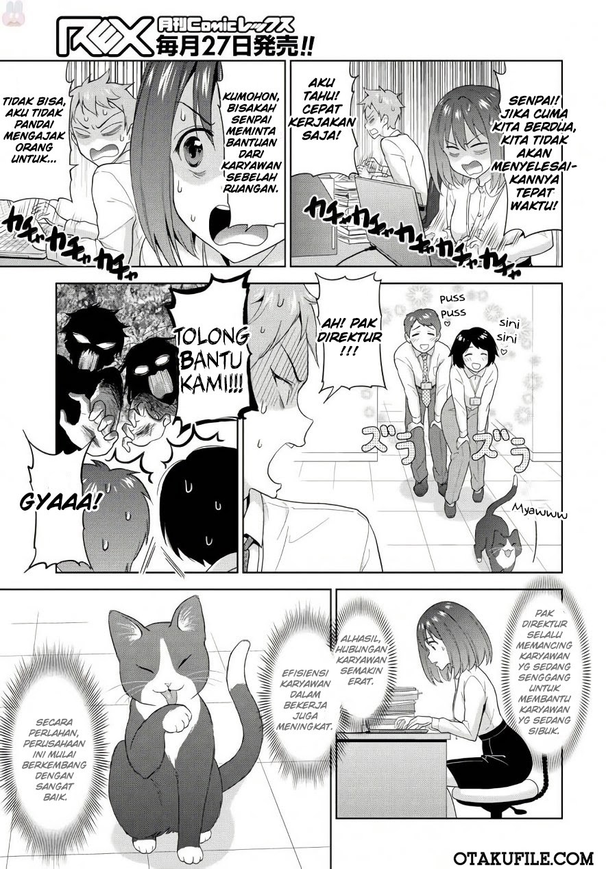 The Black Cat Who Became The Director - Chapter 00 – End 9 The Black Cat Who Became The Director - Chapter 00 – End 9
