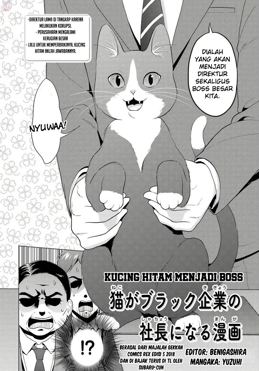 The Black Cat Who Became The Director - Chapter 00 – End 2 The Black Cat Who Became The Director - Chapter 00 – End 2