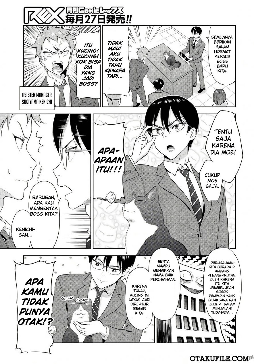The Black Cat Who Became The Director - Chapter 00 – End 3 The Black Cat Who Became The Director - Chapter 00 – End 3