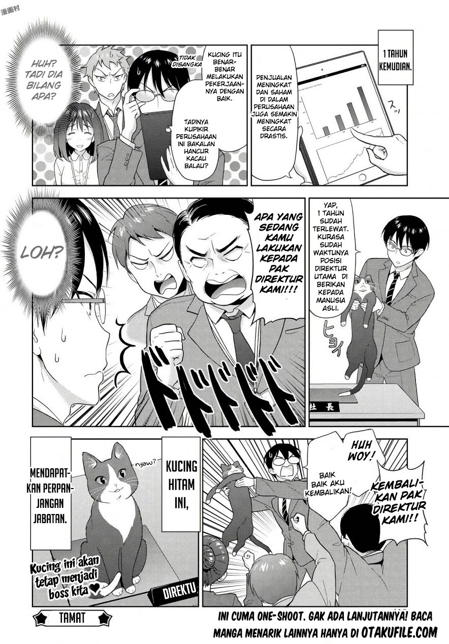 The Black Cat Who Became The Director - Chapter 00 – End 12 The Black Cat Who Became The Director - Chapter 00 – End 12