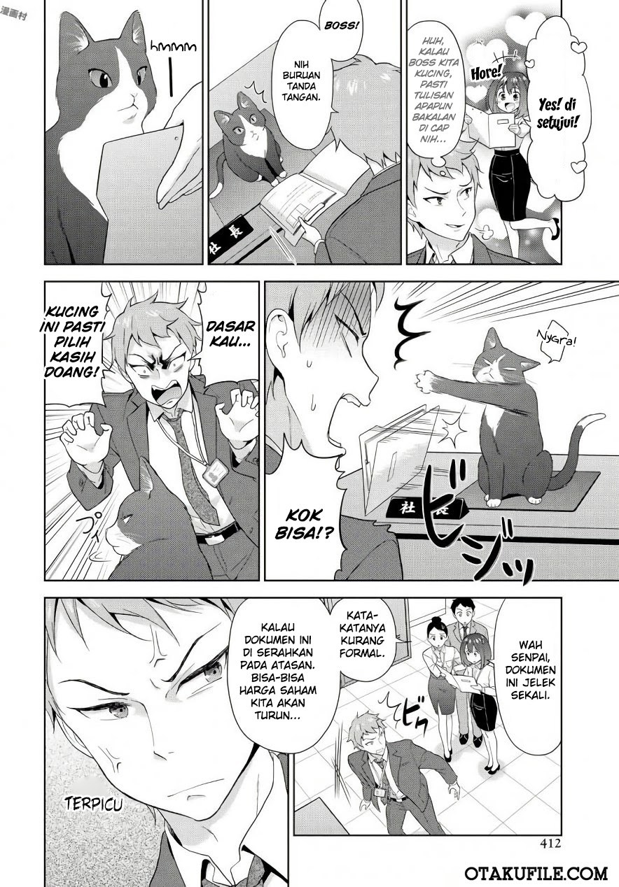 The Black Cat Who Became The Director - Chapter 00 – End 6 The Black Cat Who Became The Director - Chapter 00 – End 6