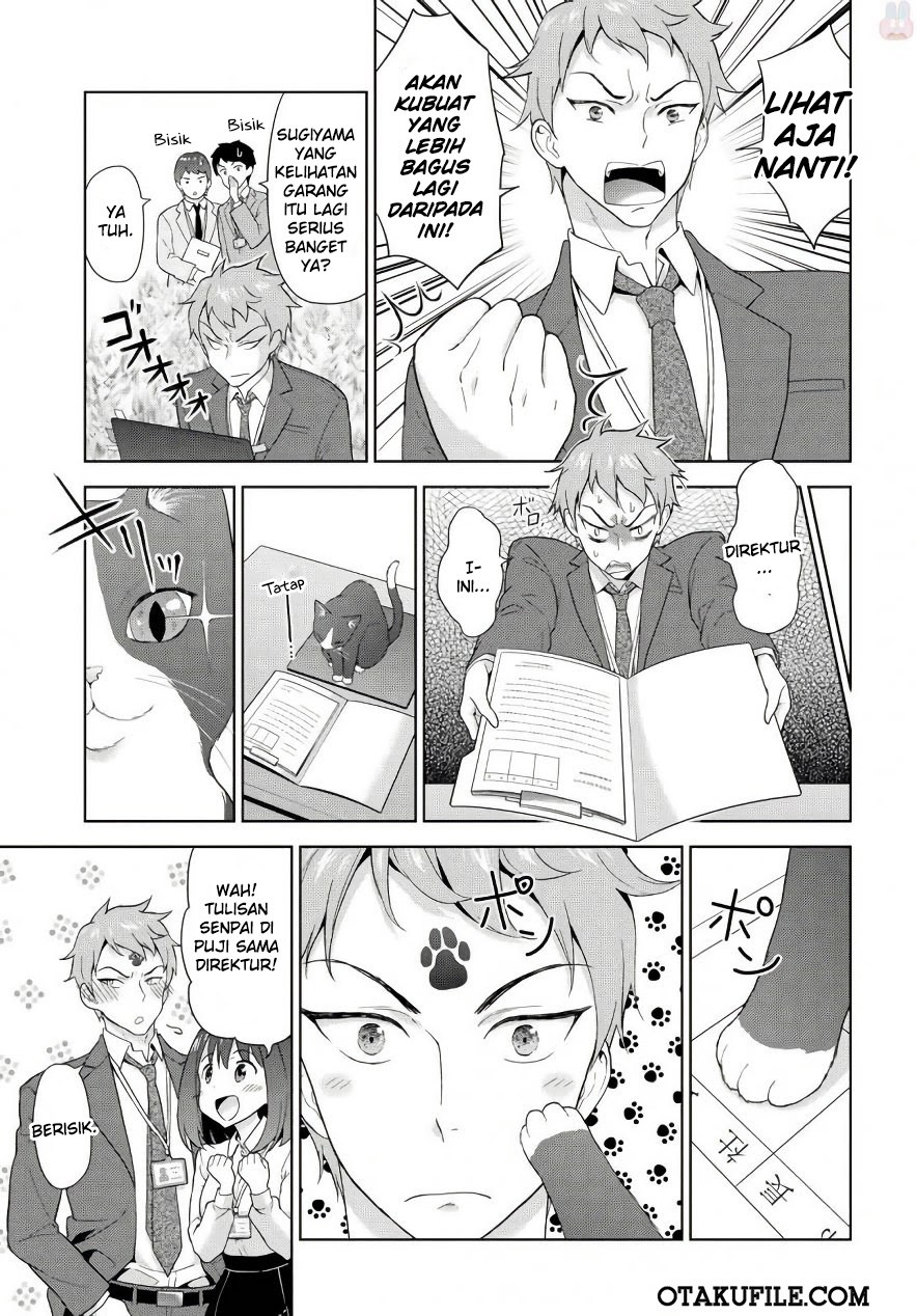 The Black Cat Who Became The Director - Chapter 00 – End 7 The Black Cat Who Became The Director - Chapter 00 – End 7
