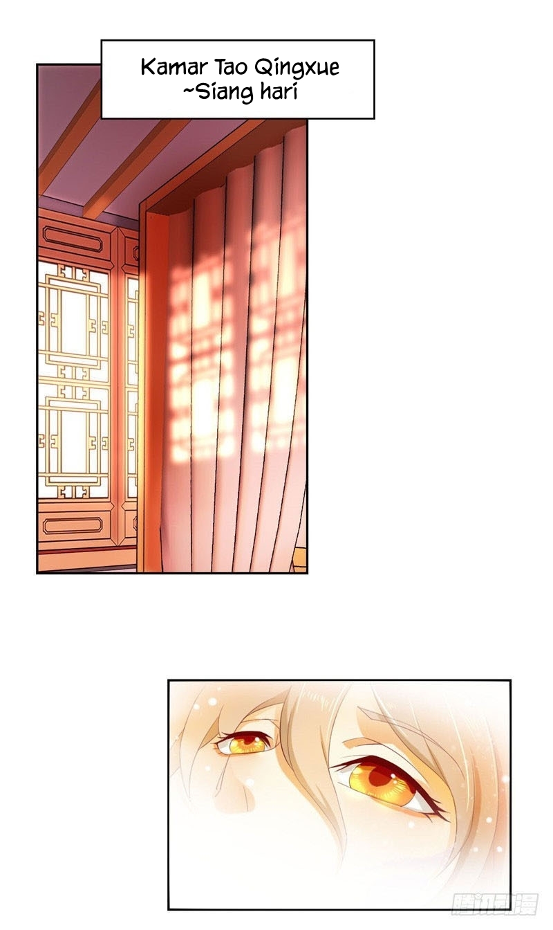 The Evil King’s Wicked Consort - Chapter 05 2