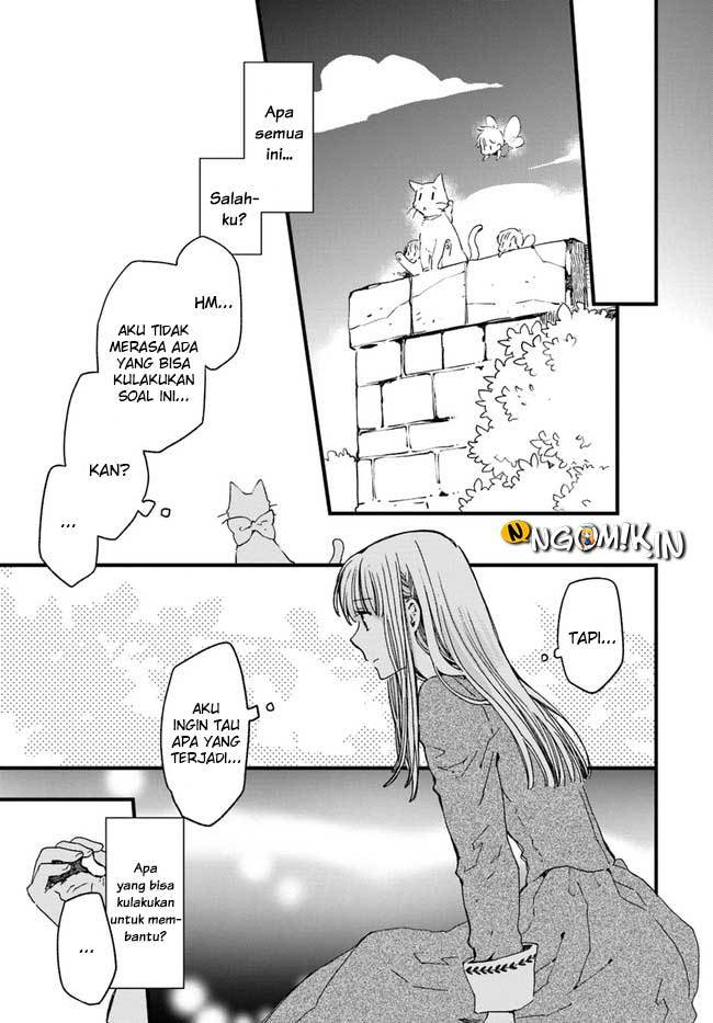The Vengeful White Cat Lounging on the Dragon King’s Lap - Chapter 11 14 The Vengeful White Cat Lounging on the Dragon King’s Lap - Chapter 11 14