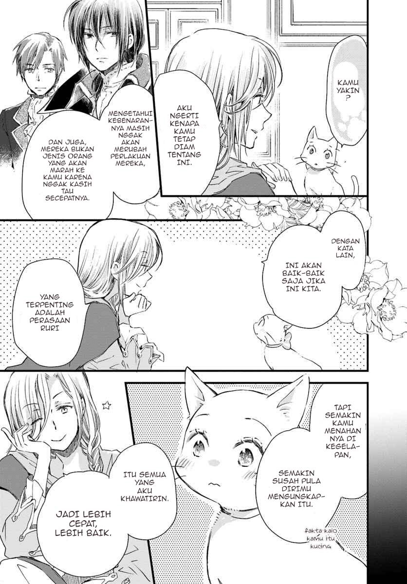 The Vengeful White Cat Lounging on the Dragon King’s Lap - Chapter 16 8 The Vengeful White Cat Lounging on the Dragon King’s Lap - Chapter 16 8