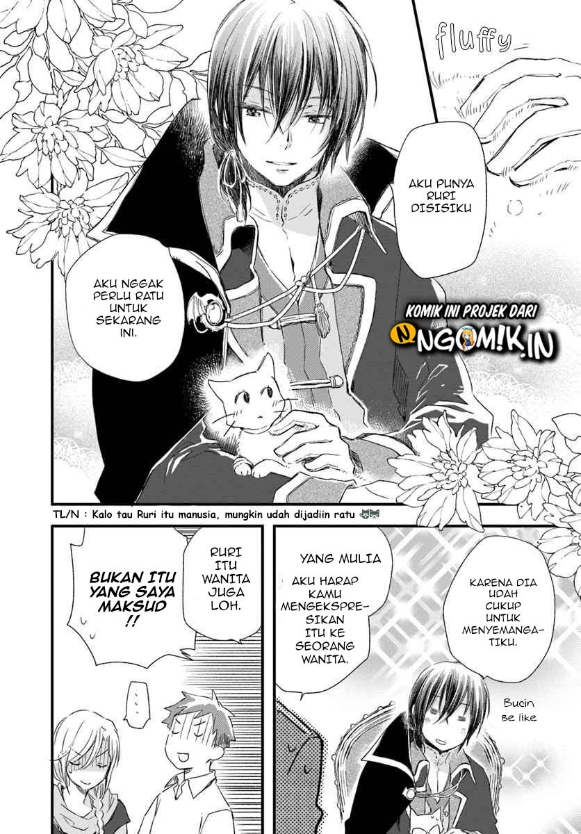 The Vengeful White Cat Lounging on the Dragon King’s Lap - Chapter 16 18 The Vengeful White Cat Lounging on the Dragon King’s Lap - Chapter 16 18