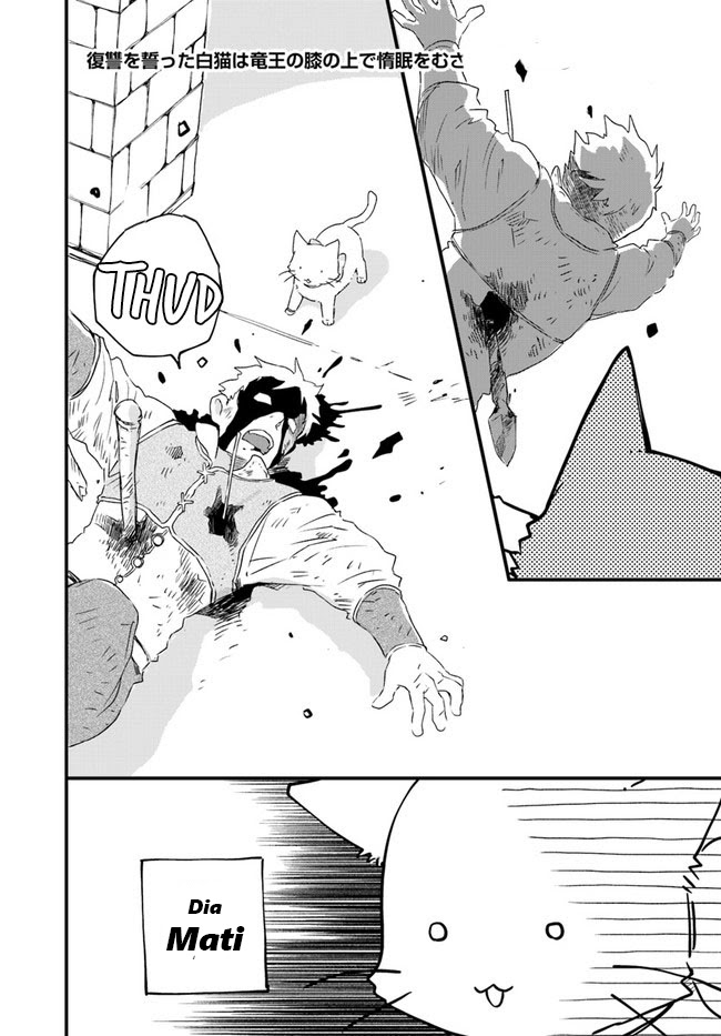 The Vengeful White Cat Lounging on the Dragon King’s Lap - Chapter 14 25 The Vengeful White Cat Lounging on the Dragon King’s Lap - Chapter 14 25