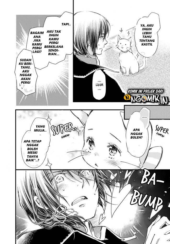The Vengeful White Cat Lounging on the Dragon King’s Lap - Chapter 14 19 The Vengeful White Cat Lounging on the Dragon King’s Lap - Chapter 14 19