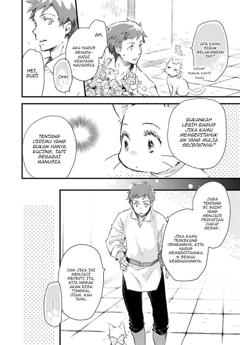 The Vengeful White Cat Lounging on the Dragon King’s Lap - Chapter 15 27 The Vengeful White Cat Lounging on the Dragon King’s Lap - Chapter 15 27