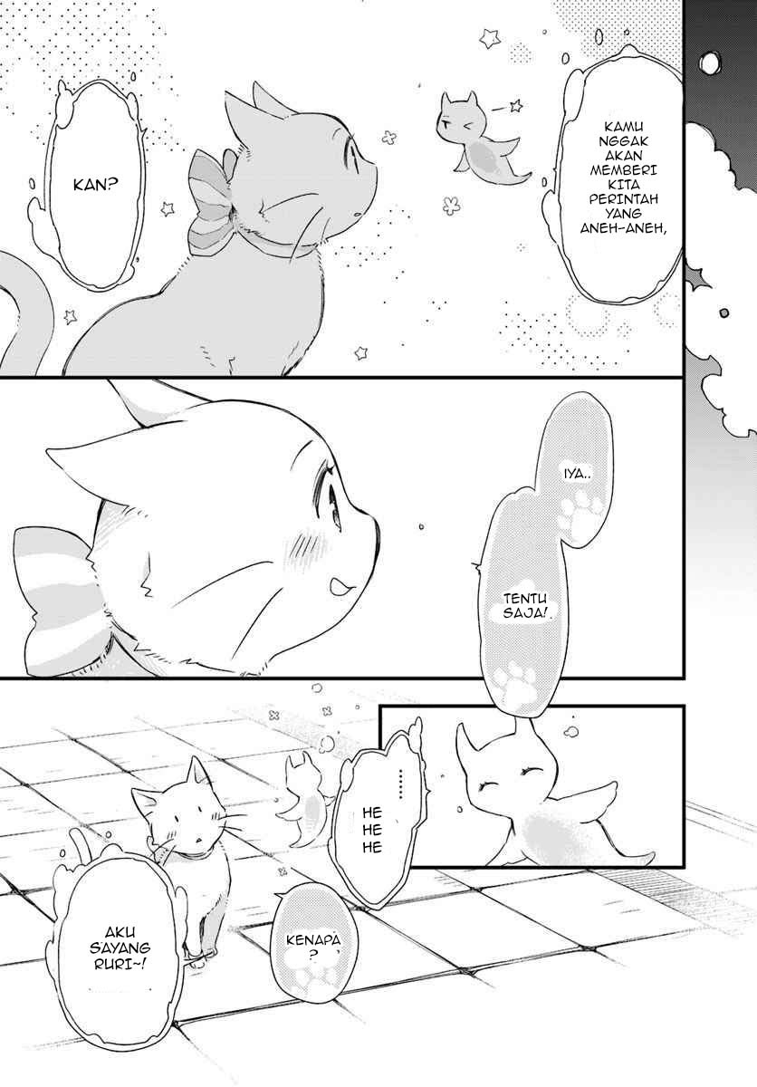 The Vengeful White Cat Lounging on the Dragon King’s Lap - Chapter 15 24 The Vengeful White Cat Lounging on the Dragon King’s Lap - Chapter 15 24