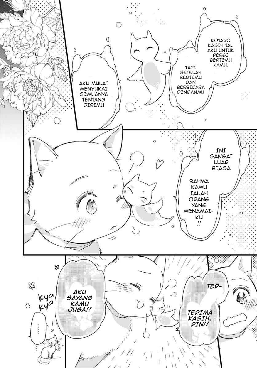 The Vengeful White Cat Lounging on the Dragon King’s Lap - Chapter 15 25 The Vengeful White Cat Lounging on the Dragon King’s Lap - Chapter 15 25