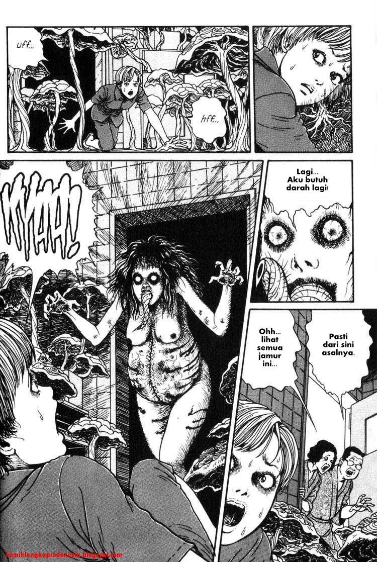 Uzumaki: Spiral into Horror - Chapter 11 31 Uzumaki: Spiral into Horror - Chapter 11 31